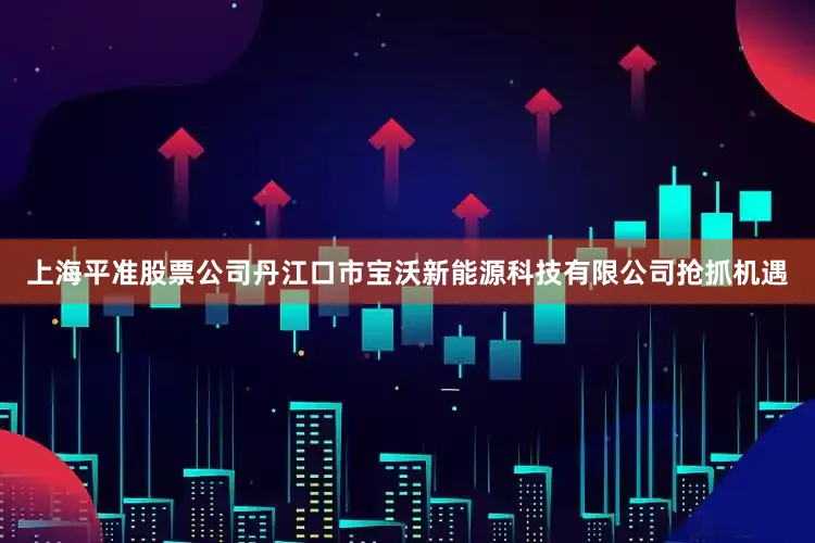 上海平准股票公司丹江口市宝沃新能源科技有限公司抢抓机遇